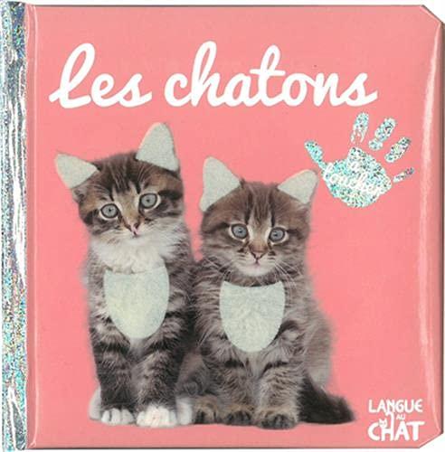 Les chatons : à toucher