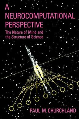 A Neurocomputational Perspective: The Nature of Mind and the Structure of Science: The Nature of Mind and Structure of Science (Bradford Books)