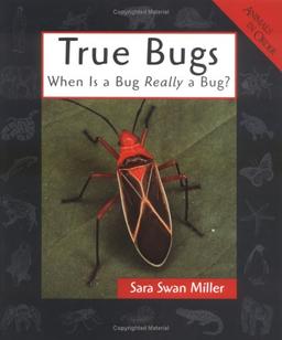 True Bugs: When Is a Bug Really a Bug? (Animals in Order)