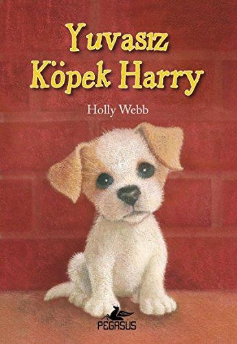 Yuvasiz Köpek Harry