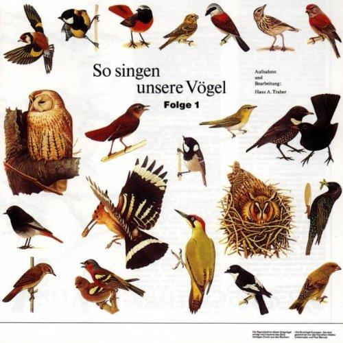 So Singen Unsere Vögel 1