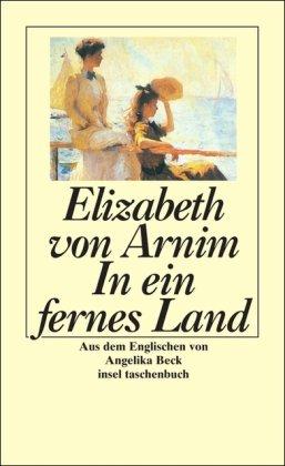 In ein fernes Land: Roman (insel taschenbuch)