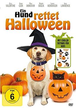 Ein Hund rettet Halloween