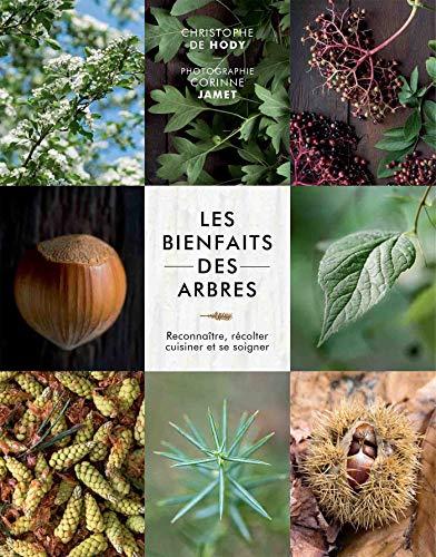 Les bienfaits des arbres : reconnaître, récolter, cuisiner et se soigner