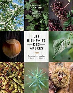 Les bienfaits des arbres : reconnaître, récolter, cuisiner et se soigner