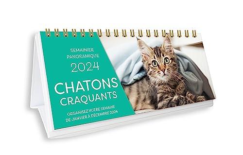 Chatons craquants 2024 : organisez votre semaine de janvier à décembre 2024