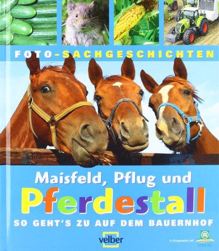 Maisfeld, Pflug und Pferdestall: So geht's zu auf dem Bauernhof