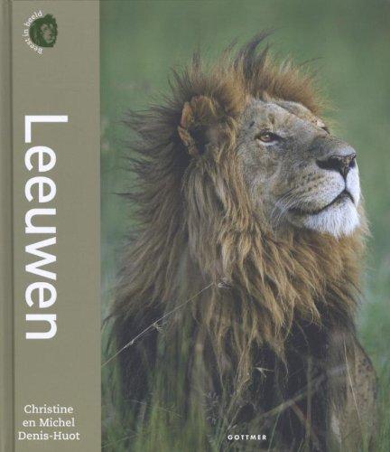 Leeuwen (Beest in beeld)