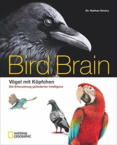 Bildband Vögel: Überflieger. Vögel mit Köpfchen. National Geographic präsentiert wunderschön illustriert die faszinierende Erforschung der gefiederten Intelligenz.