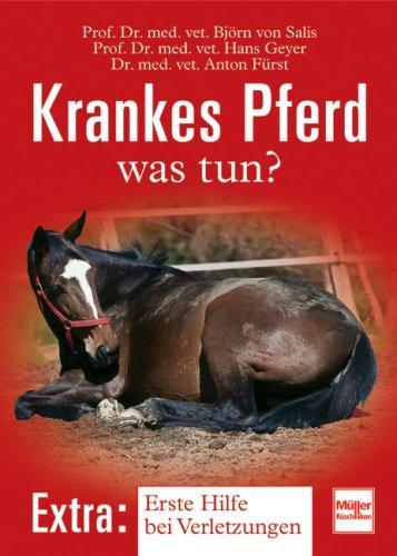 Krankes Pferd - was tun?: Erste Hilfe bei Verletzungen