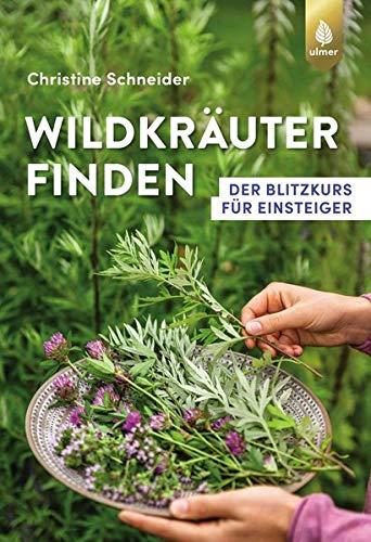 Wildkräuter finden: Der Blitzkurs für Einsteiger