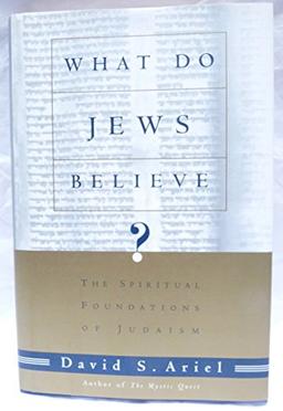 What Do Jews Believe?: The Spiritual Foundations of Judaism