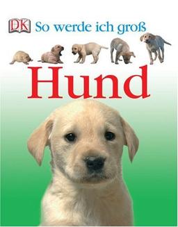 So werde ich groß: Hund