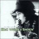 The Live Adventures Of The Waterboys