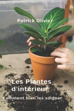 Les Plantes d'intérieur: Comment bien les soigner