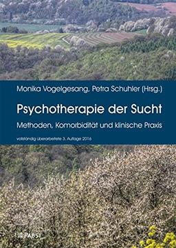 Psychotherapie der Sucht: Methoden, Komorbidität und klinische Praxis