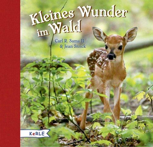 Kleines Wunder im Wald: Ein fotografisches Märchen