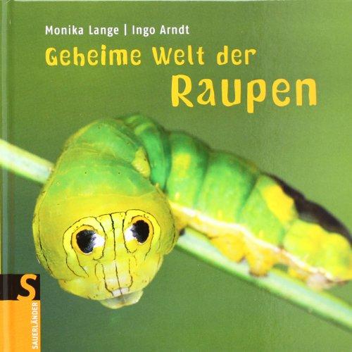 Geheime Welt der Raupen