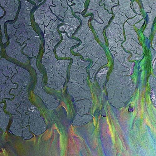 An Awesome Wave [Vinyl LP]