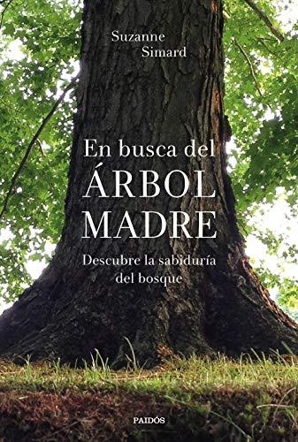 En busca del Árbol Madre: Descubre la sabiduría del bosque (Contextos)