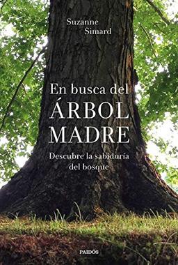 En busca del Árbol Madre: Descubre la sabiduría del bosque (Contextos)