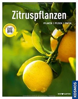 Zitruspflanzen: gestalten - pflanzen - ernten (Mein Garten)