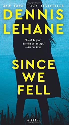 Since We Fell: A Novel