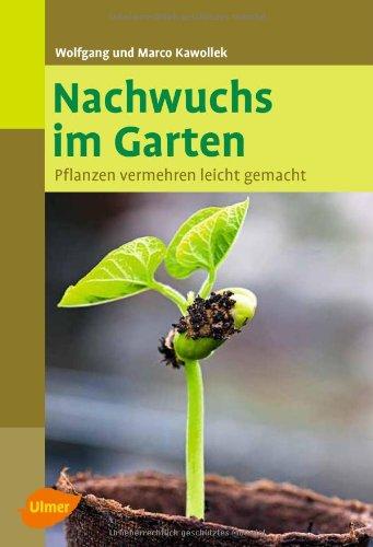 Nachwuchs im Garten: Pflanzen vermehren leicht gemacht