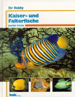 Kaiserfische und Falterfische, Ihr Hobby