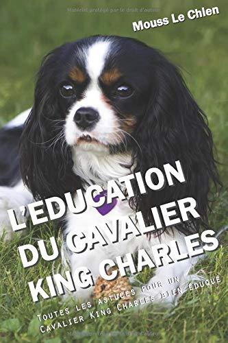 L'EDUCATION DU CAVALIER KING CHARLES: Toutes les astuces pour un Cavalier King Charles bien éduqué