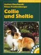 Collie und Sheltie: Praktische Ratschläge für Haltung, Pflege und Erziehung