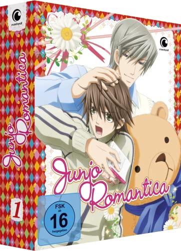 Junjo Romantica - Staffel 1 - Vol.1 - [DVD] mit Sammelschuber