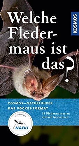 Welche Fledermaus ist das?