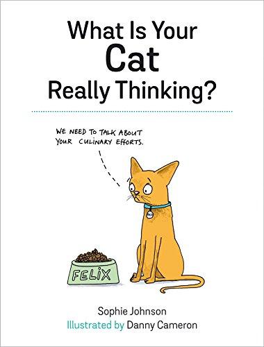 What is Your Cat Really Thinking?