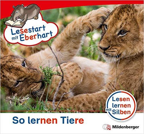 Lesestart mit Eberhart: So lernen Tiere: Sonderheft, Lesestufe 3 (Lesestart mit Eberhart: Lesen lernen mit Silben - Themenhefte für Erstleser - 5 Lesestufen - je 10 Hefte)