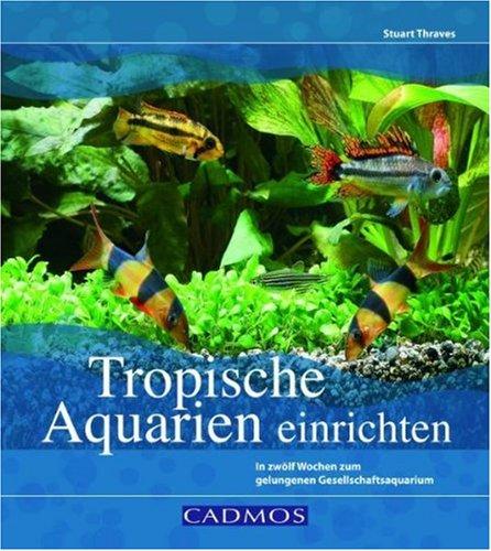 Tropische Aquarien einrichten: In zwölf Wochen zum gelungenen Gesellschaftsaquarium