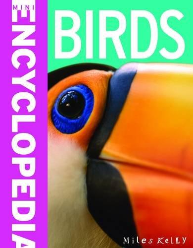 100 Facts - Birds (Mini Encyclopedia)