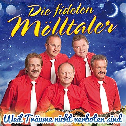 Weil Träume nicht verboten sind (das Abschiedsalbum)