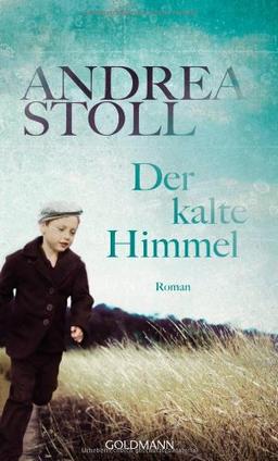 Der kalte Himmel: Roman