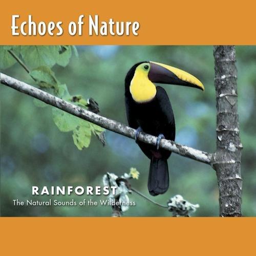 Echoes of Nature: Rainforest