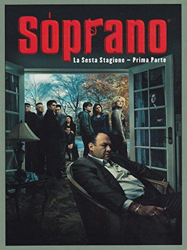 I Soprano (cofanetto da collezione) Stagione 06 Volume 01 Episodi 01-12 [4 DVDs] [IT Import]