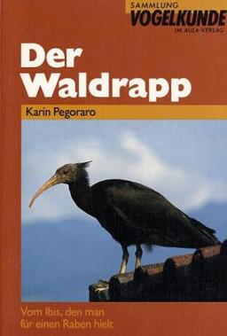 Der Waldrapp