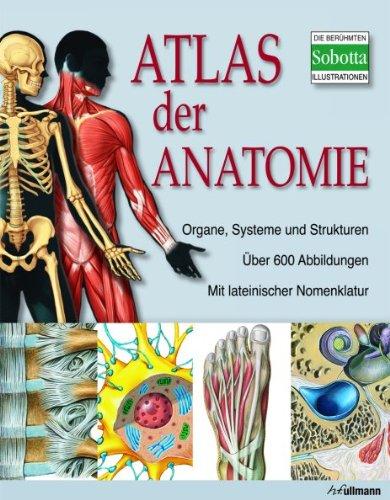 Atlas der Anatomie: Der menschliche Körper und seine Systeme: Organe, Systeme und Strukturen