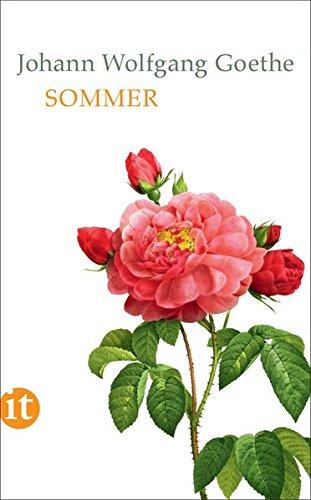 Sommer (insel taschenbuch)