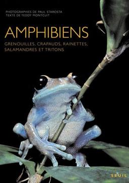 Amphibiens : grenouilles, crapauds, rainettes, salamandres et tritons