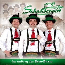 Im Auftrag der Kern-Buam; incl. Der Lehrer in der Schule; Junggesellen wie wir; Fliege mit mir in die Heimat; Mir san vom Gradnertal; I bin halt a Lump; Mei Alti; Kennwort feiern; Lederhosen XXL; Hans bleib do; Von meinen Bergen; Posaunenkönig;