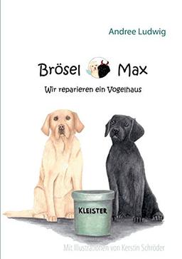 Brösel & Max: Wir reparieren ein Vogelhaus