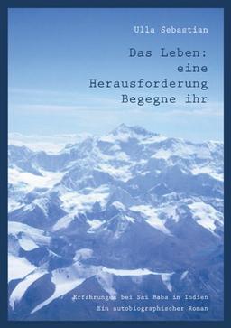 Das Leben: eine Herausforderung. Begegne ihr.: Erfahrungen bei Sai Baba in Indien. Ein autobiographischer Roman