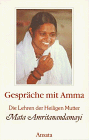 Gespräche mit Amma, Bd.1