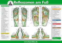 Reflexzonen der Fe (Tafel A2)